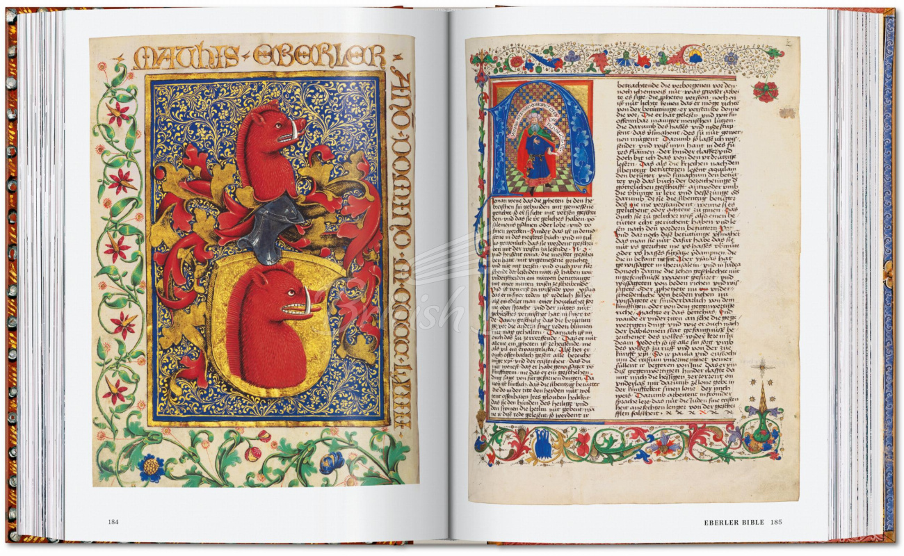 Книга The Book of Bibles изображение 4
