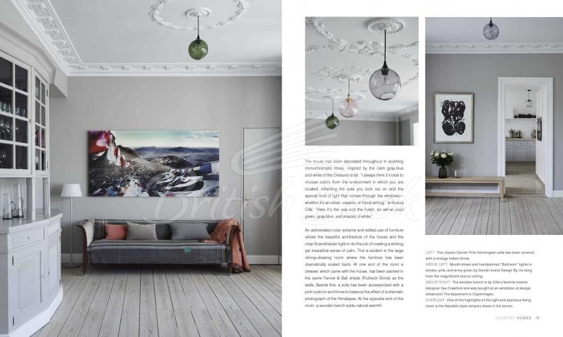 Книга The Scandinavian Home изображение 3