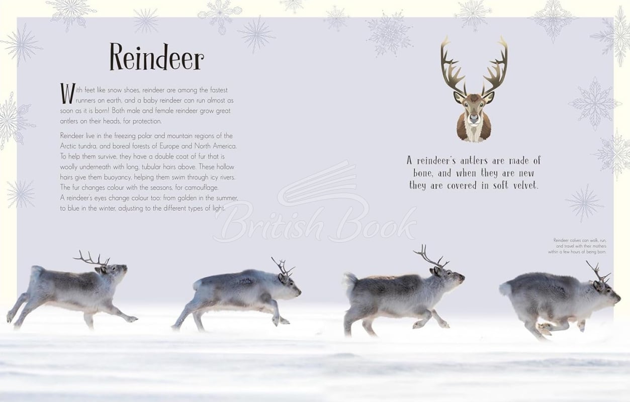 Книга An Anthology of Christmas зображення 3