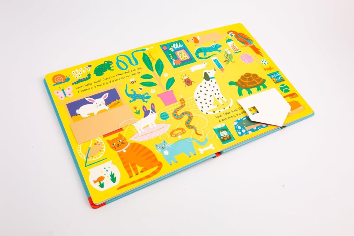 Книга Look, Baby, Look! At Home зображення 8