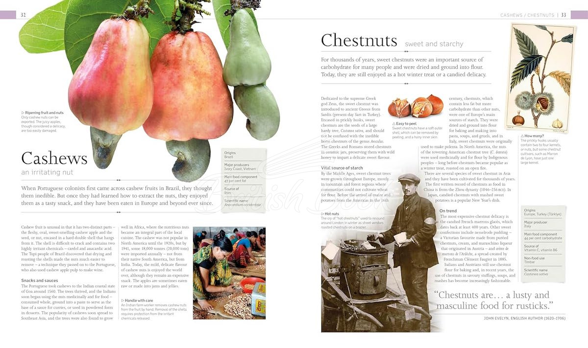 Книга The Food Book зображення 2