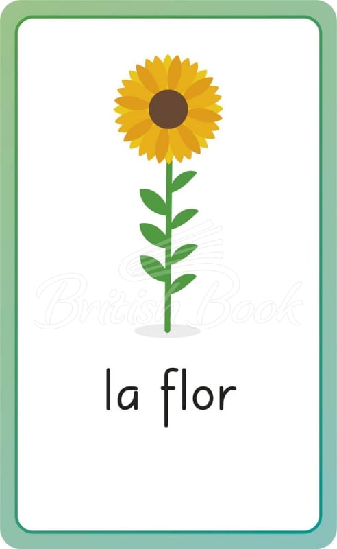 Картки Spanish for Everyone Junior: First Words Flash Cards зображення 5