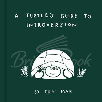 Книга A Turtle's Guide to Introversion зображення