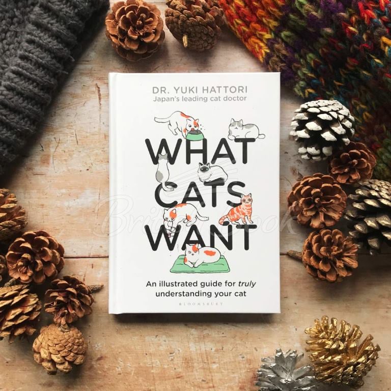 Книга What Cats Want: An Illustrated Guide for Truly Understanding Your Cat изображение 1