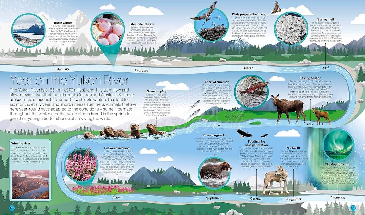 Книга Timelines of Nature изображение 1
