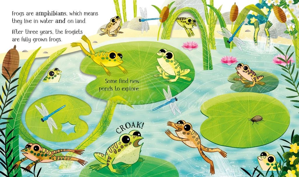Книга One Little Frog зображення 1
