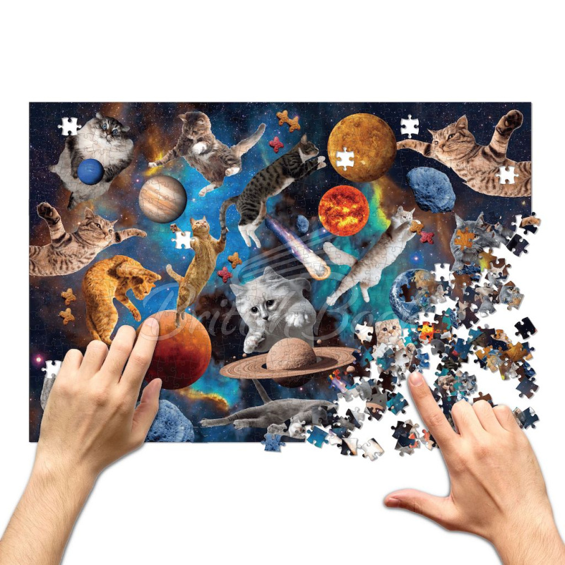 Пазл Cats in Open Space 500 Piece Puzzle изображение 2