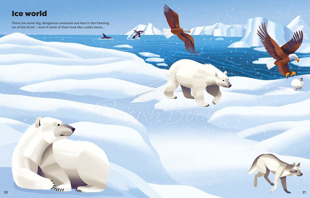 Книга Big Sticker Book Deadly Animals изображение 3