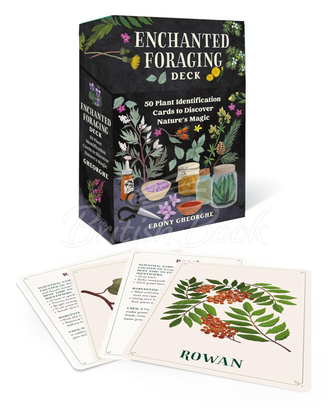 Картки Enchanted Foraging Deck зображення 1