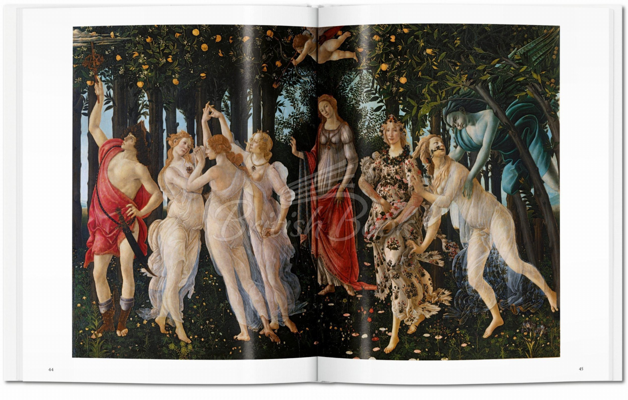 Книга Botticelli зображення 2