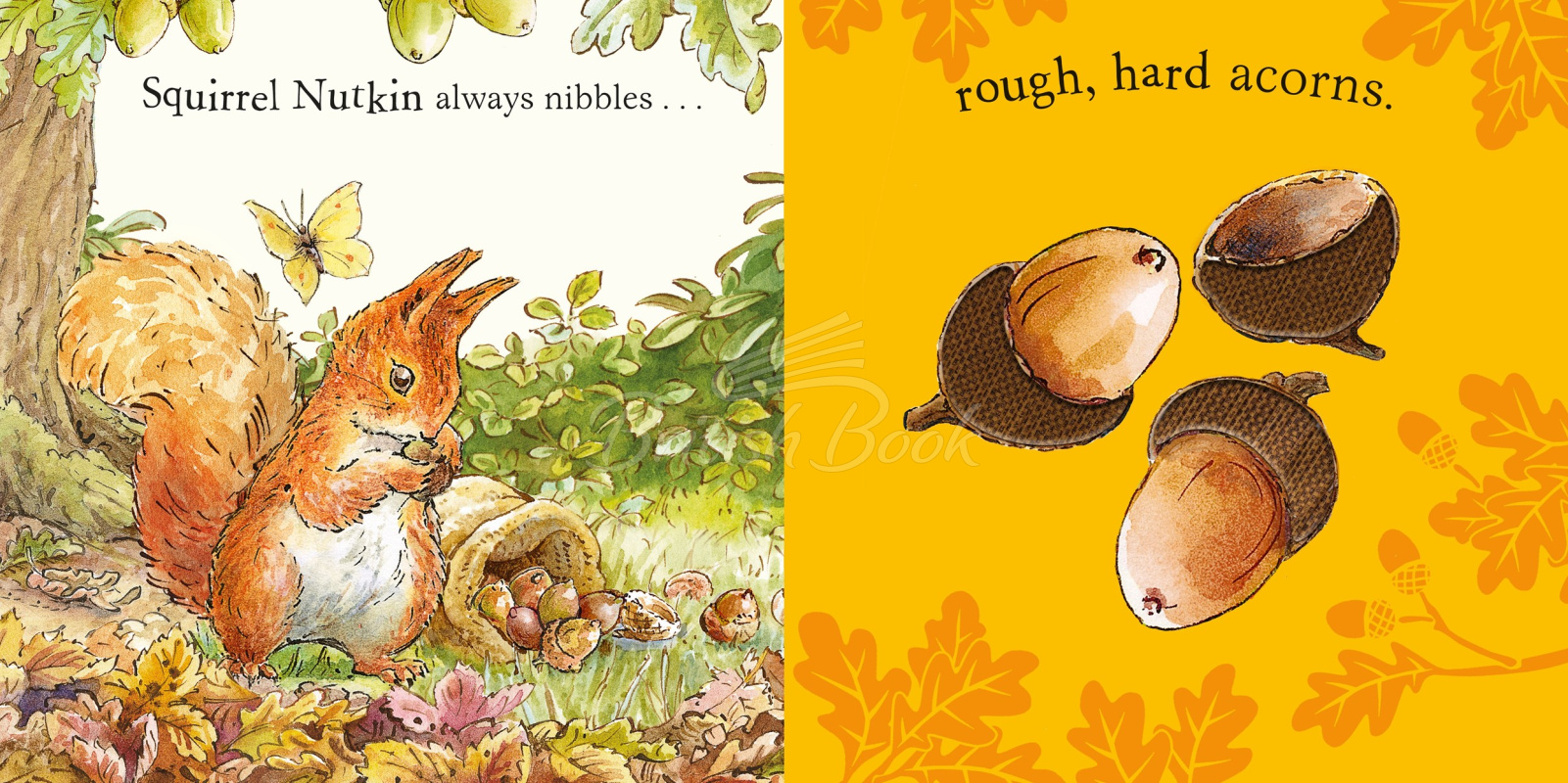 Книга Peter Rabbit: Forest Feast изображение 2