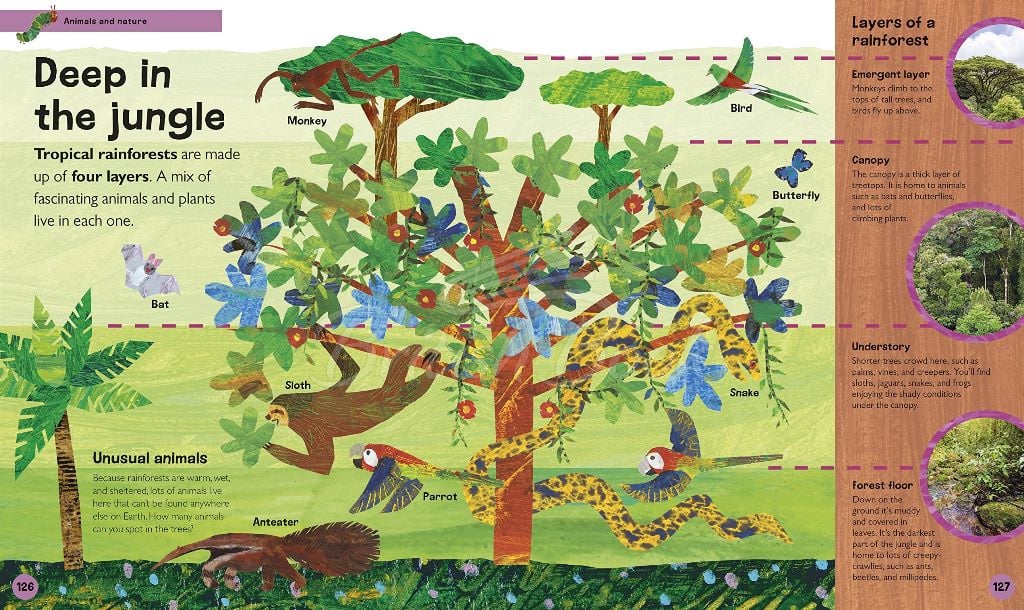 Книга The Very Hungry Caterpillar's Very First Encyclopedia зображення 4
