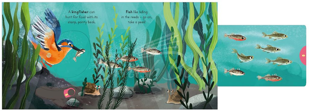 Книга Big Outdoors for Little Explorers: River зображення 4