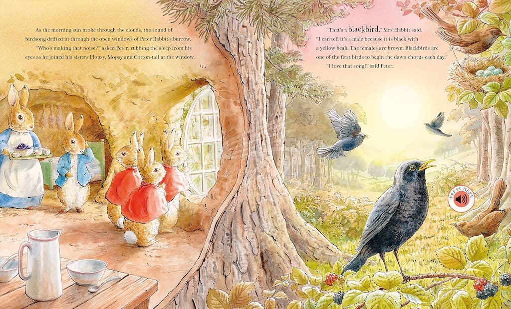 Книга Peter Rabbit: Peter's Nature Walk  изображение 4