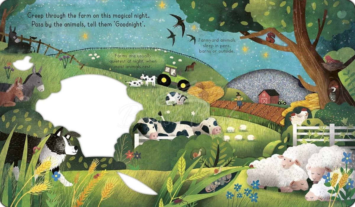 Книга Little Explorers: Goodnight Farm зображення 1