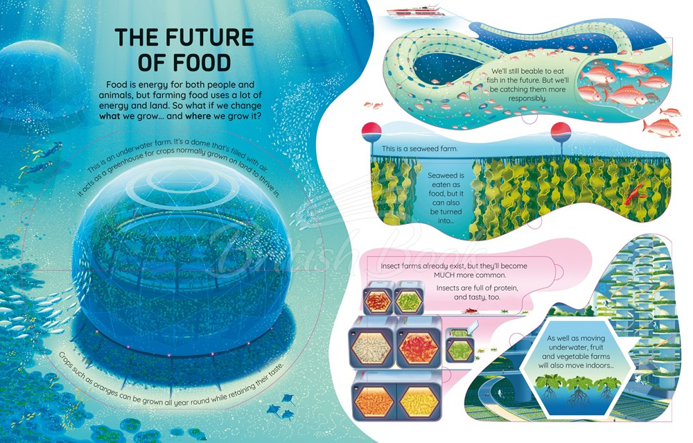 Книга See inside Future Energy зображення 3