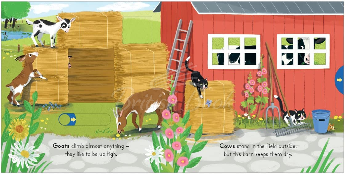 Книга Big Outdoors for Little Explorers: Farm зображення 2