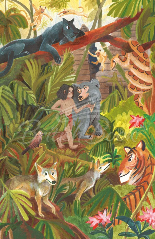 Книга The Jungle Book изображение 1