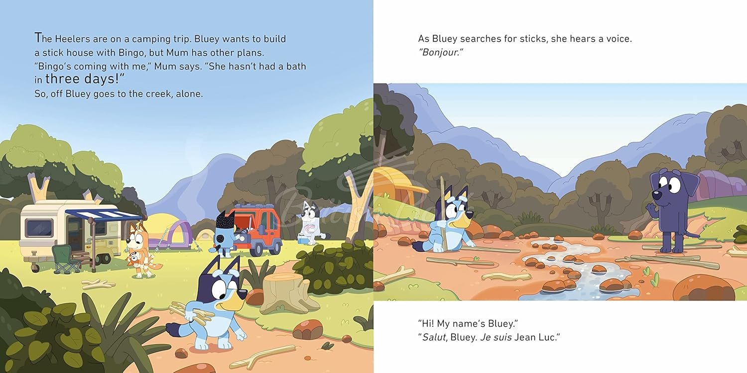 Книга Bluey: Camping изображение 3