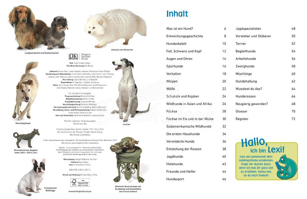 Книга memo Wissen entdecken: Hunde зображення 7