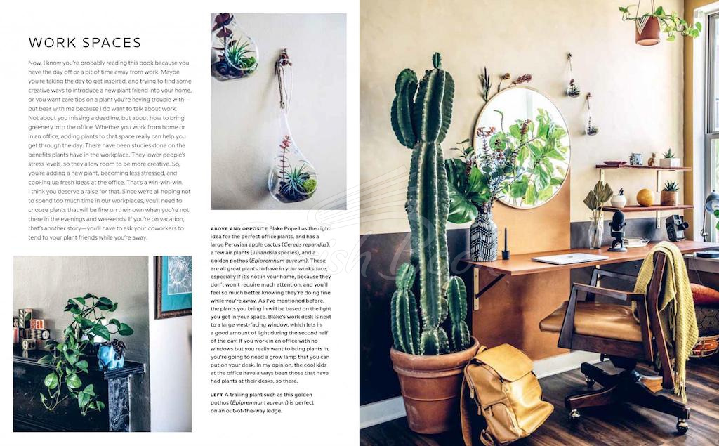 Книга Wild Interiors изображение 4