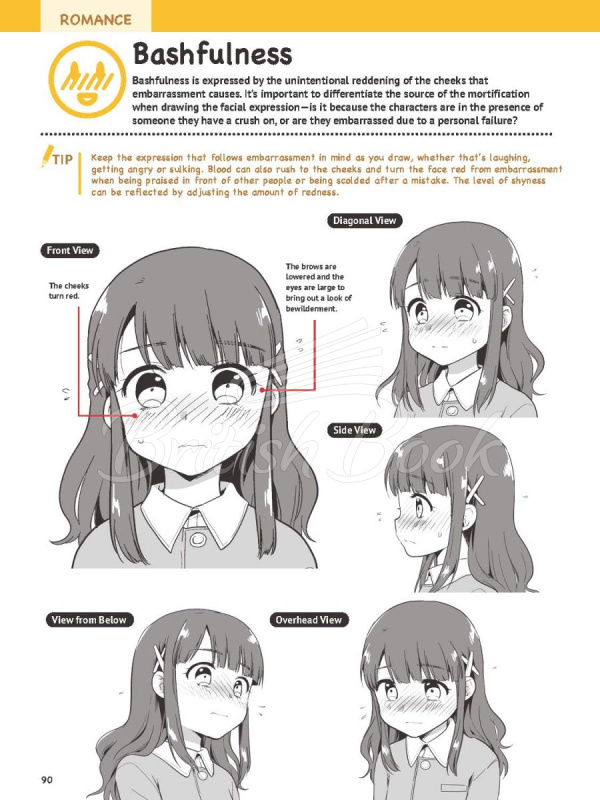 Книга How to Create Manga: Drawing Facial Expressions зображення 13