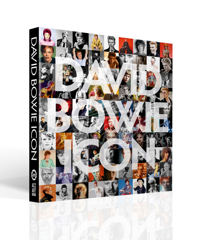Книга David Bowie: Icon зображення 1