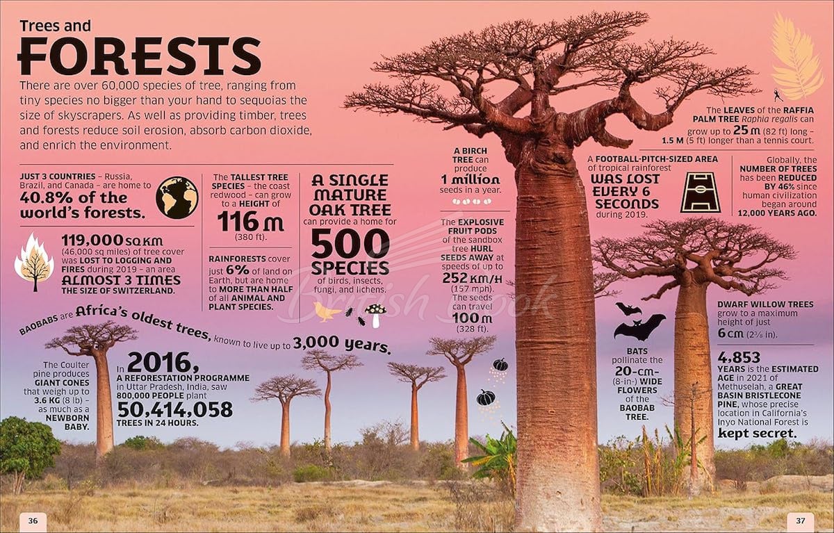 Книга Our World in Numbers изображение 2