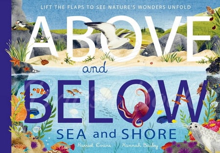 Книга Above and Below: Sea and Shore зображення