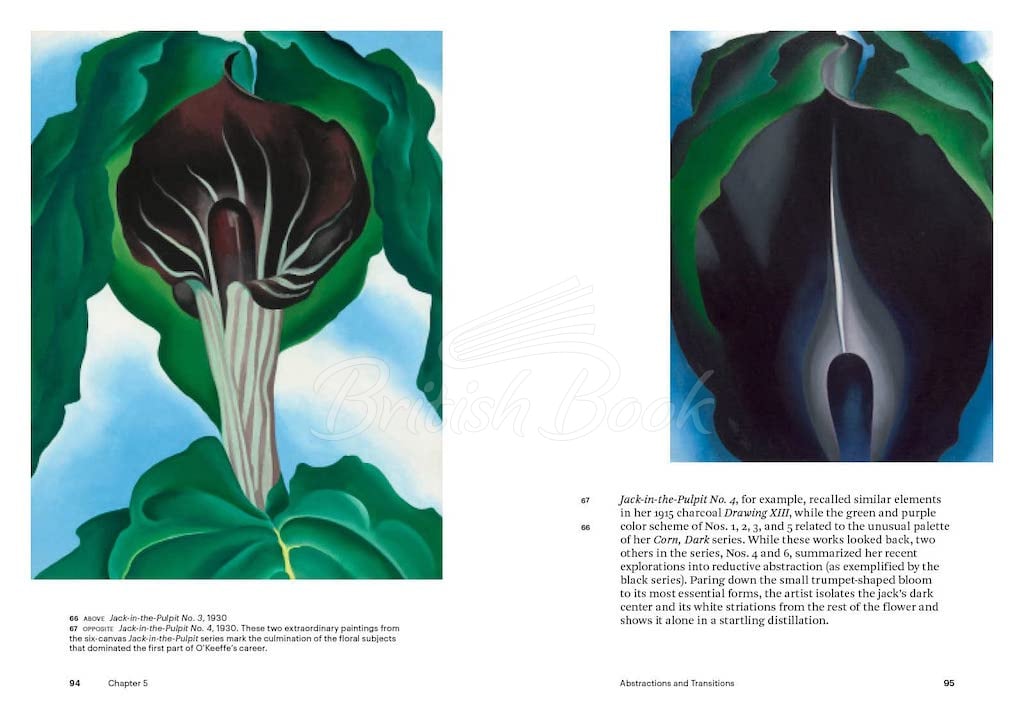 Книга Georgia O'Keeffe зображення 8