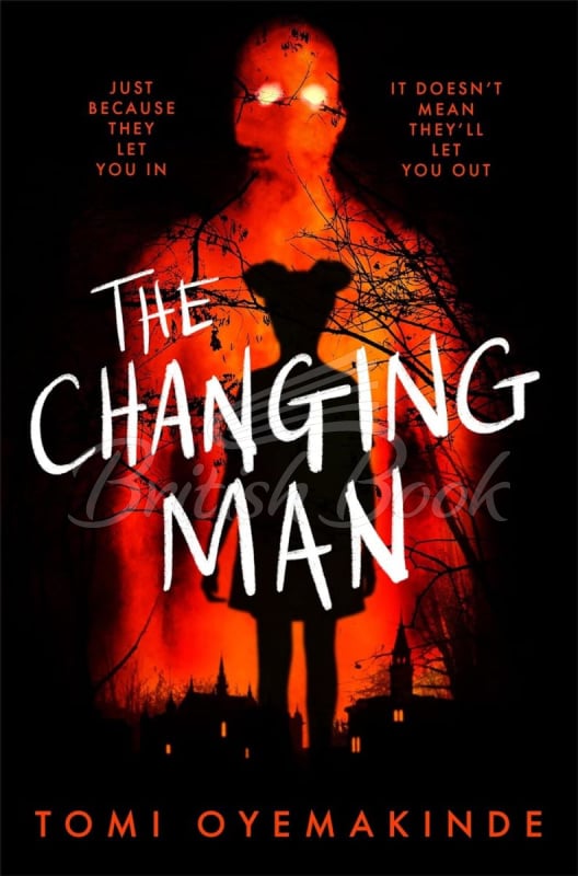 Книга The Changing Man изображение
