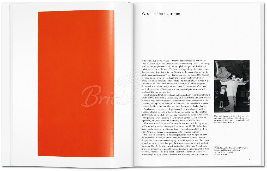 Книга Yves Klein зображення 6