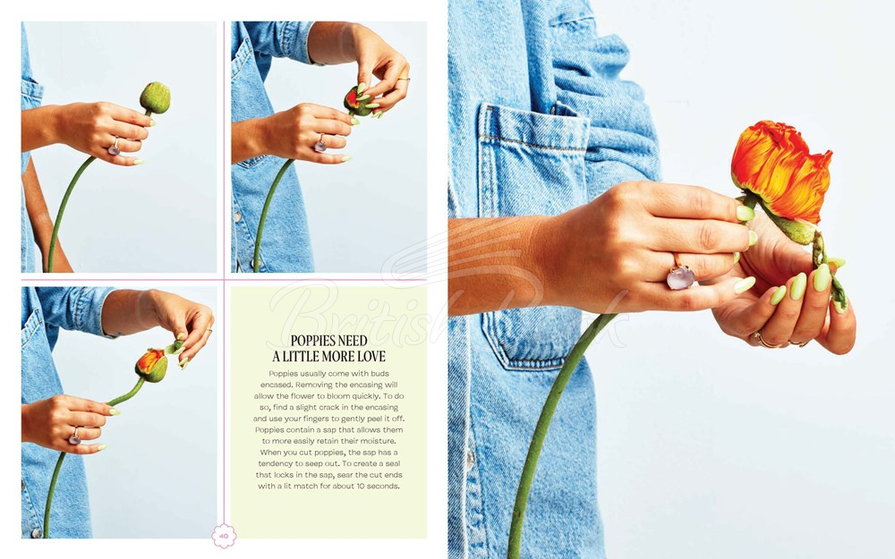 Книга Flowering: Easygoing Floral Design for Surprising Contemporary Arrangements зображення 17
