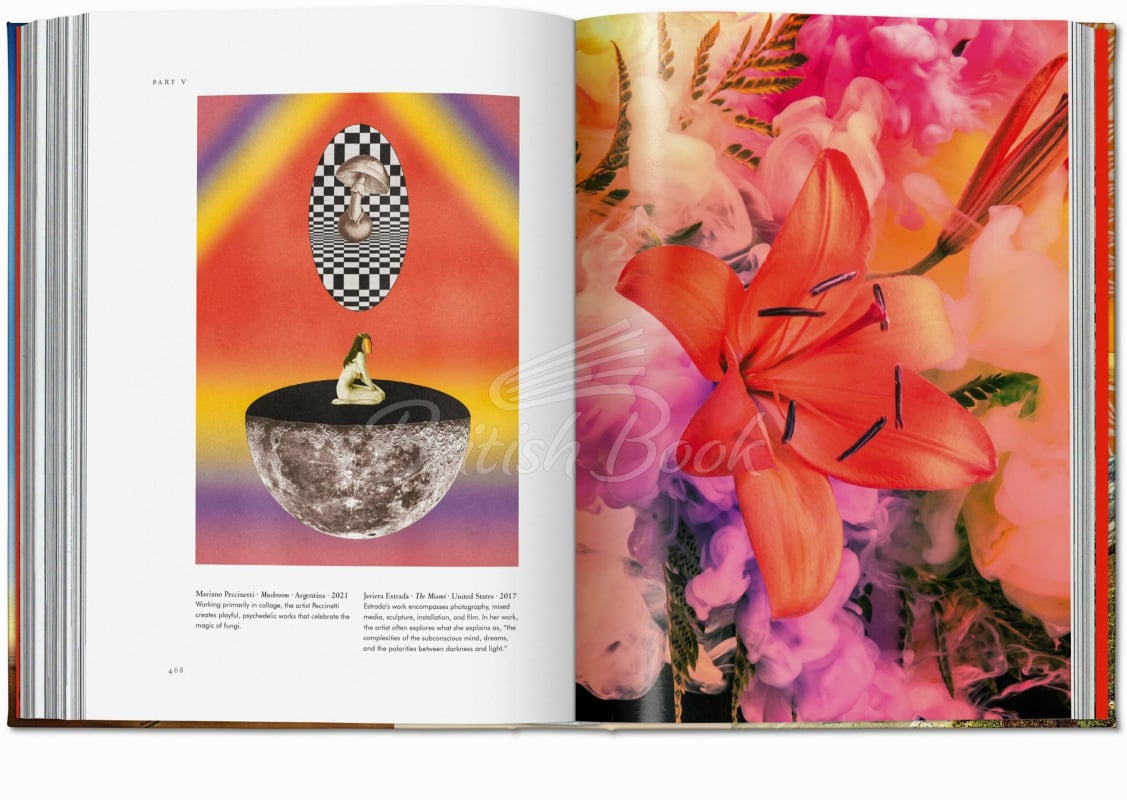 Книга Plant Magick. The Library of Esoterica зображення 12