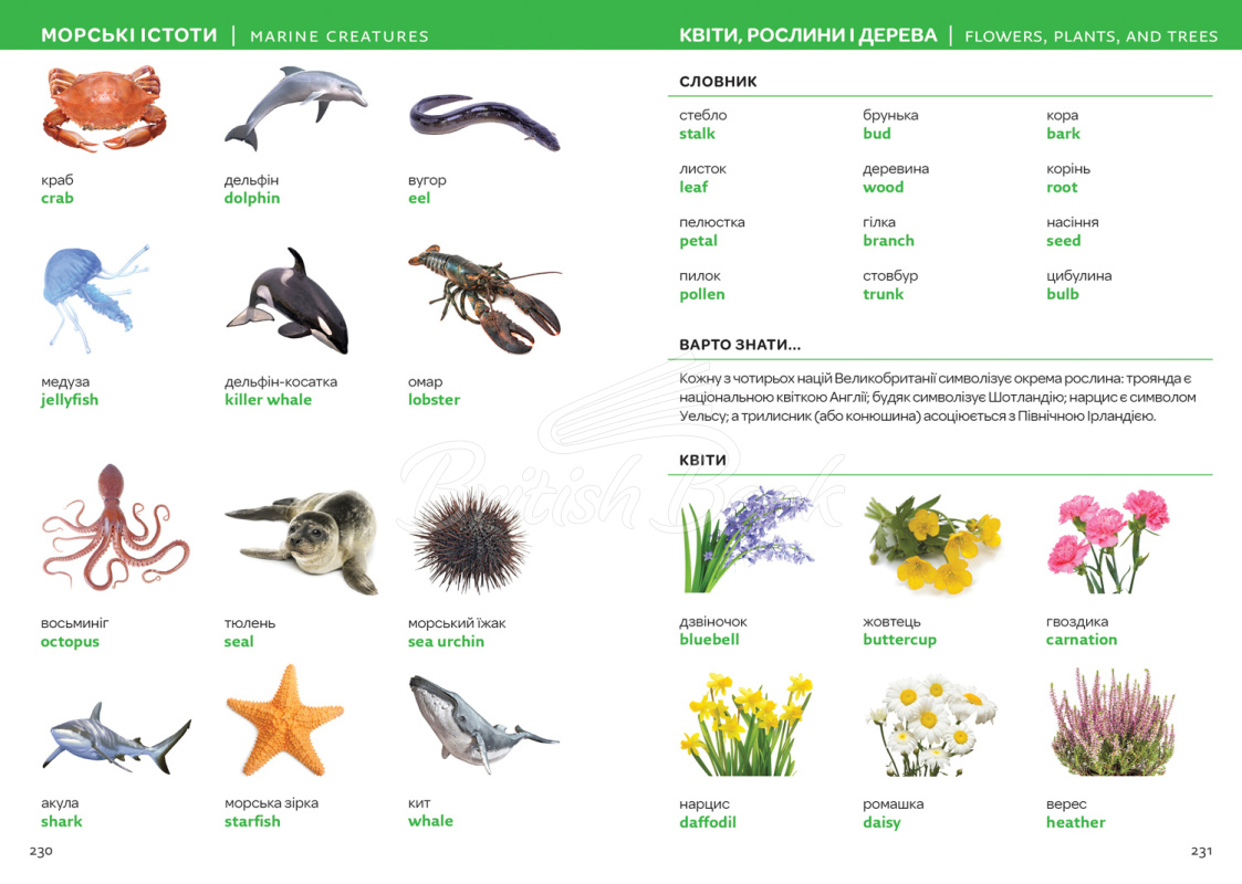 Книга Ukrainian–English Visual Dictionary зображення 3