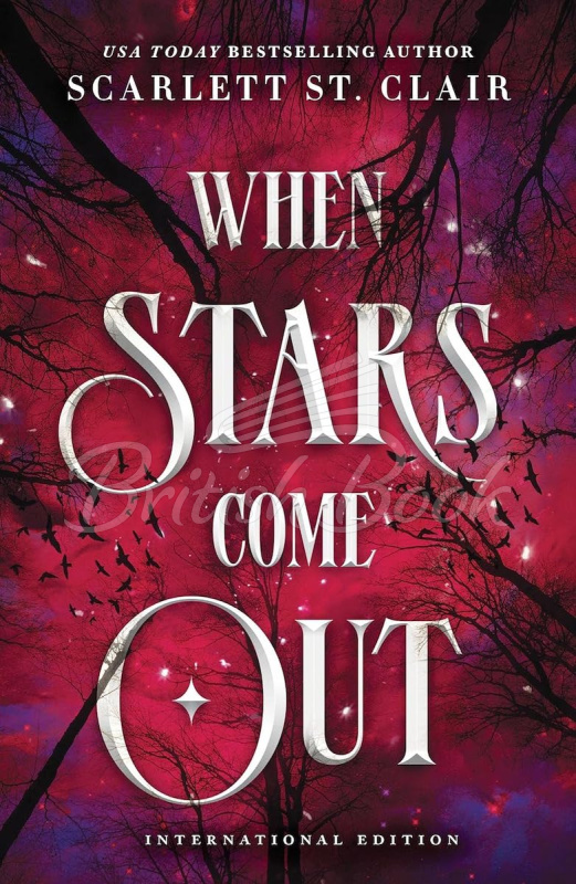Книга When Stars Come Out (Book 1) зображення