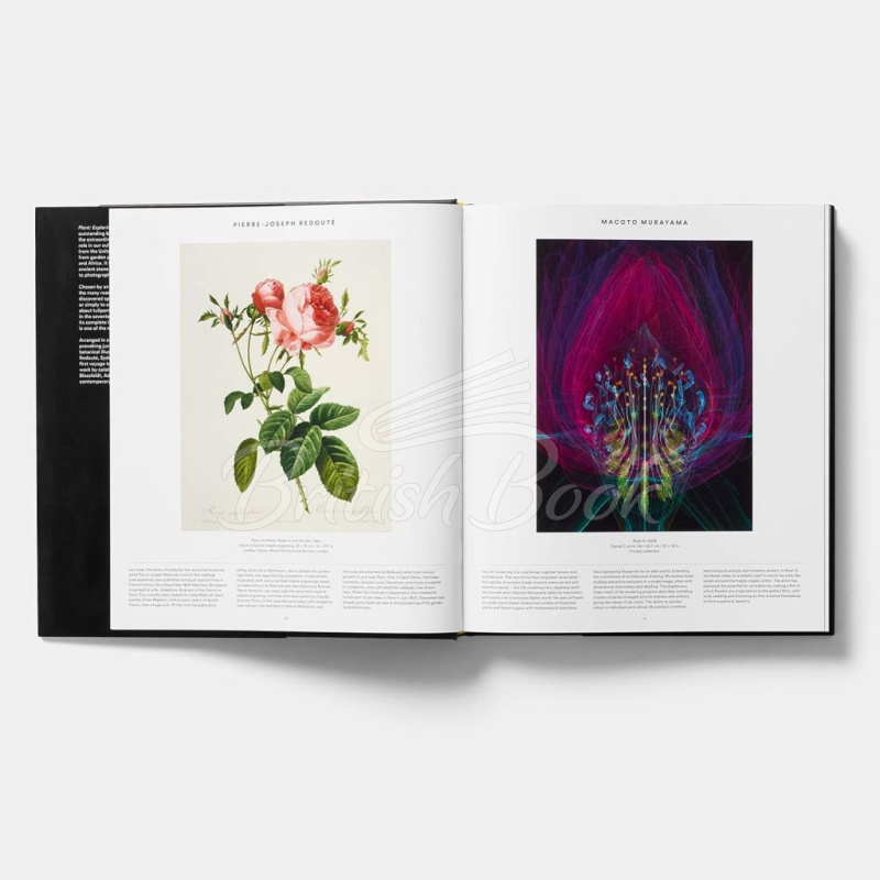 Книга Plant: Exploring the Botanical World изображение 2