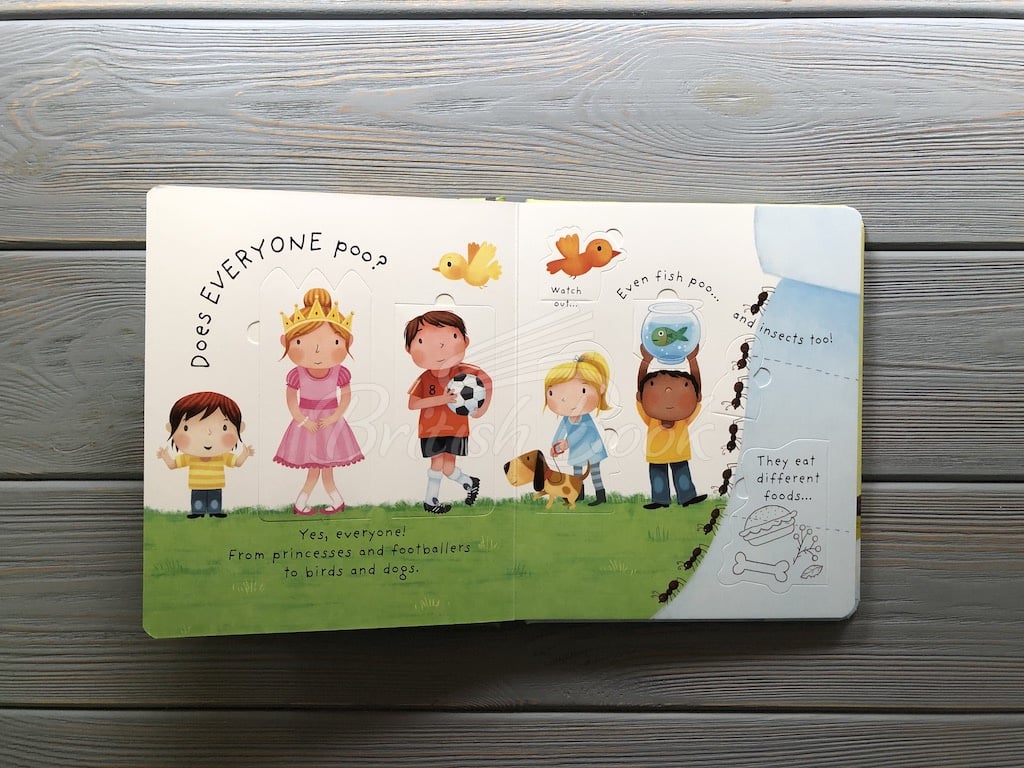 Книга Lift-the-Flap Very First Questions and Answers: What is Poo? зображення 4