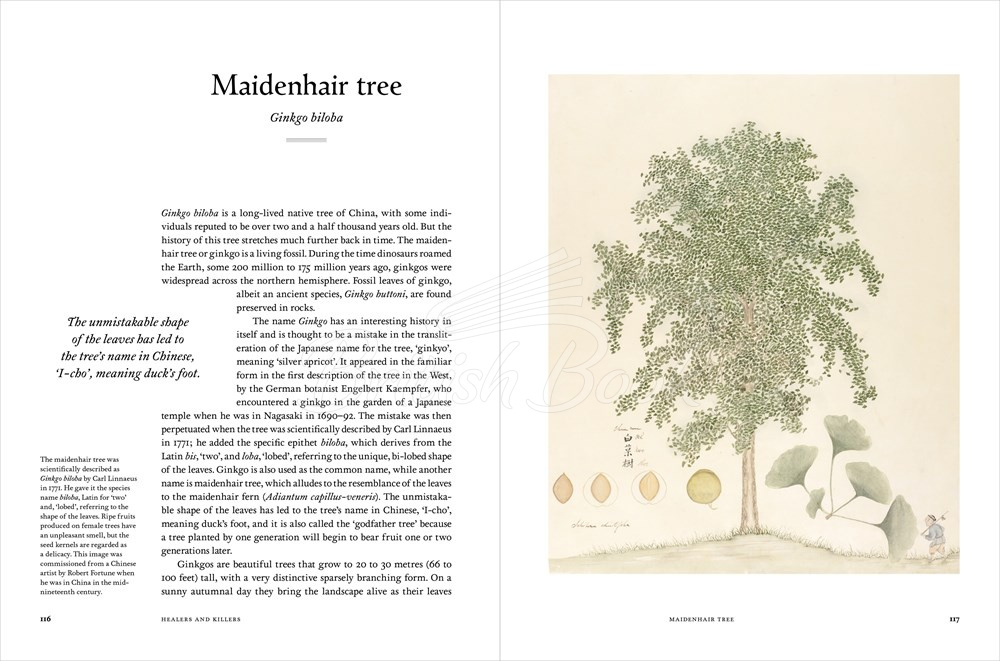 Книга Remarkable Trees изображение 9