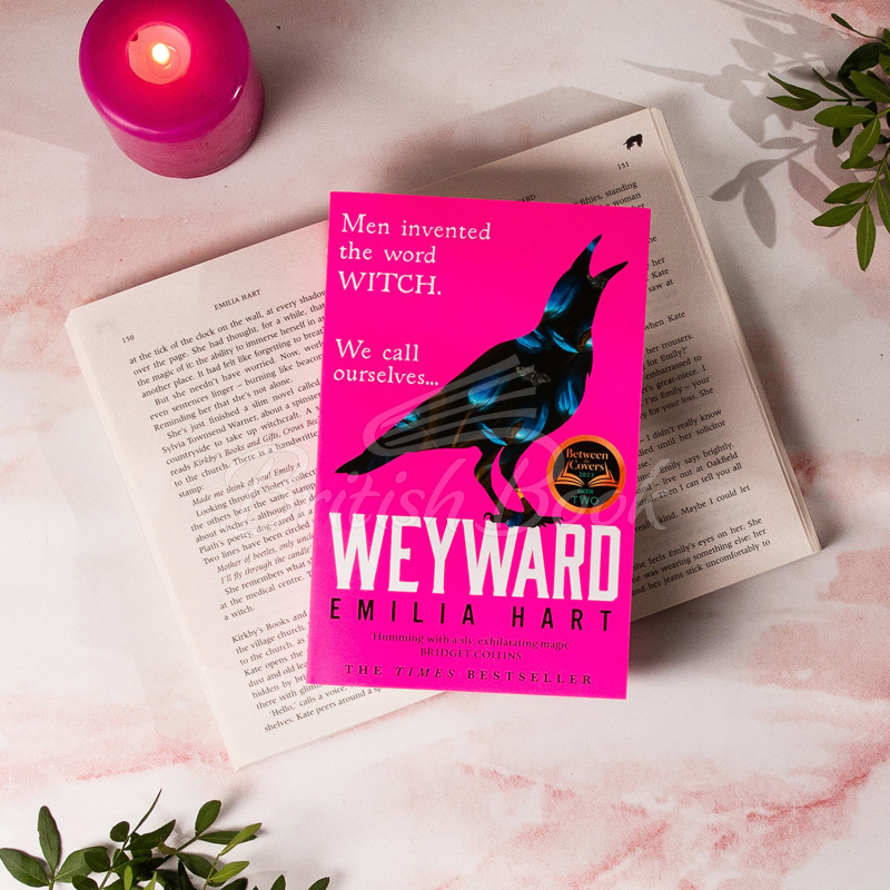 Книга Weyward изображение 2