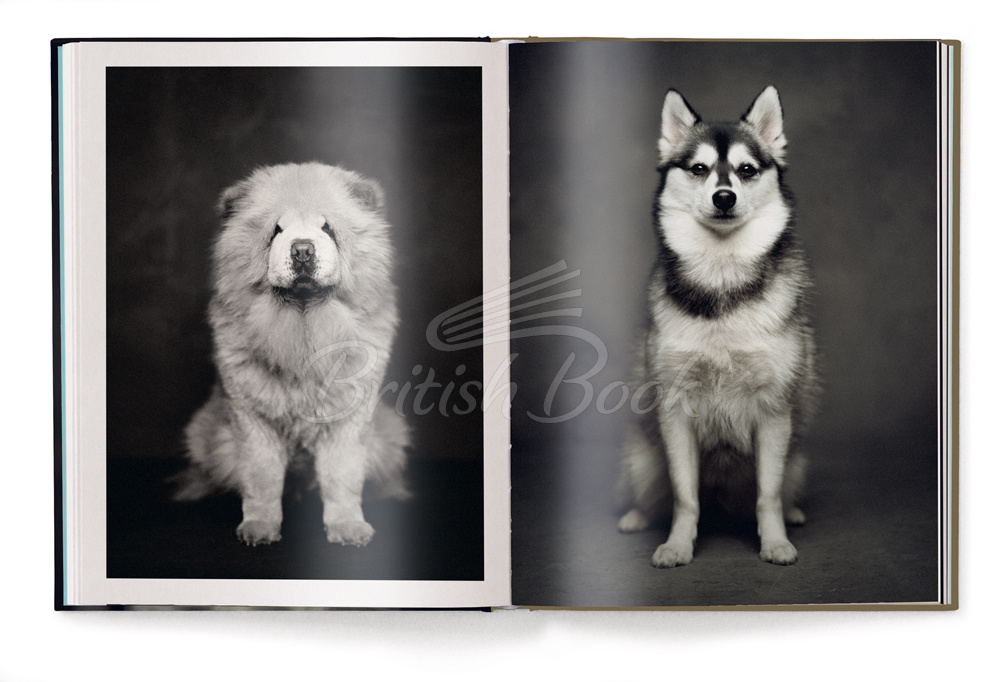 Книга The Dogs: Human Animals изображение 2