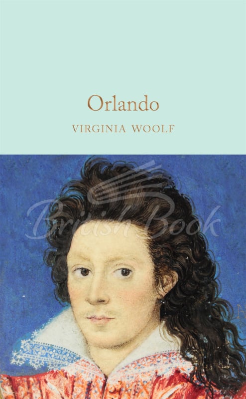 Книга Orlando изображение