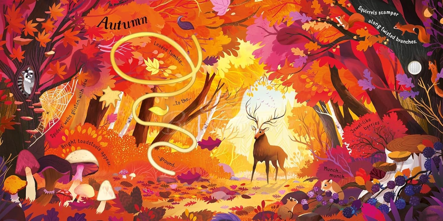 Книга Vivaldi's The Four Seasons зображення 3