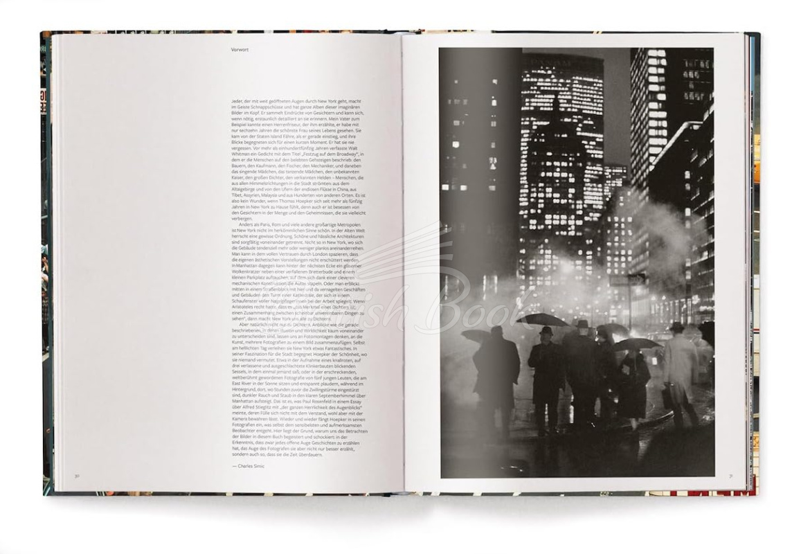 Книга New York зображення 7