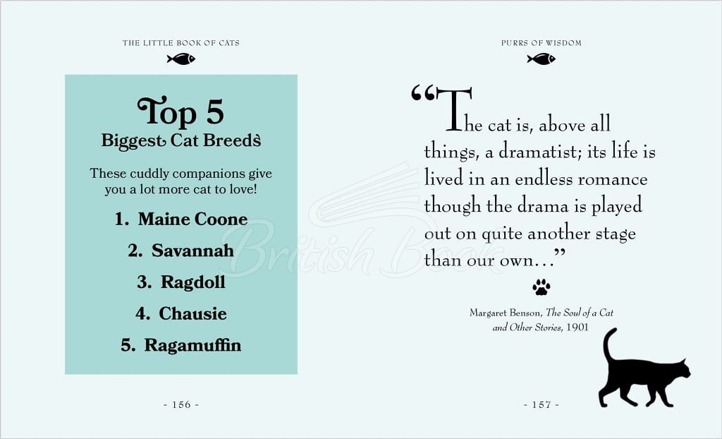 Книга The Little Book of Cats изображение 6