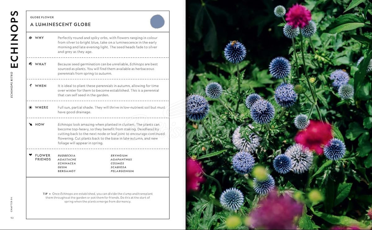 Книга The Super Bloom Handbook зображення 7