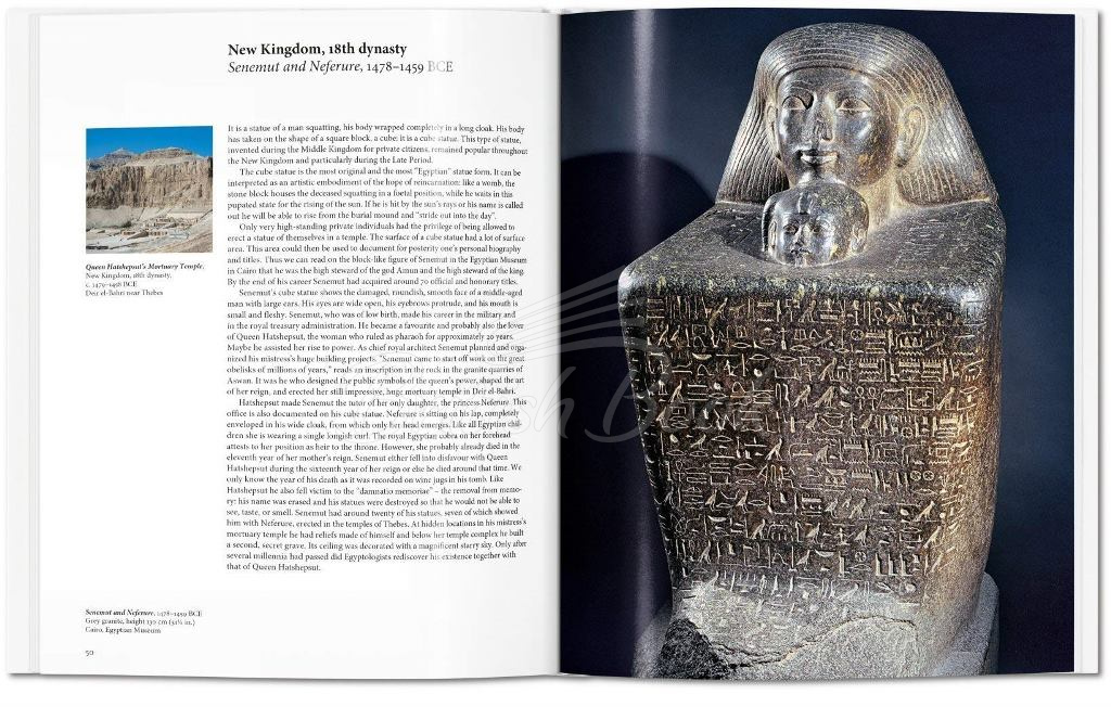 Книга Egyptian Art зображення 4