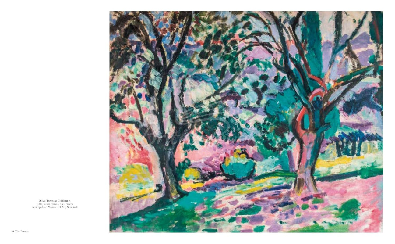 Книга Matisse зображення 4