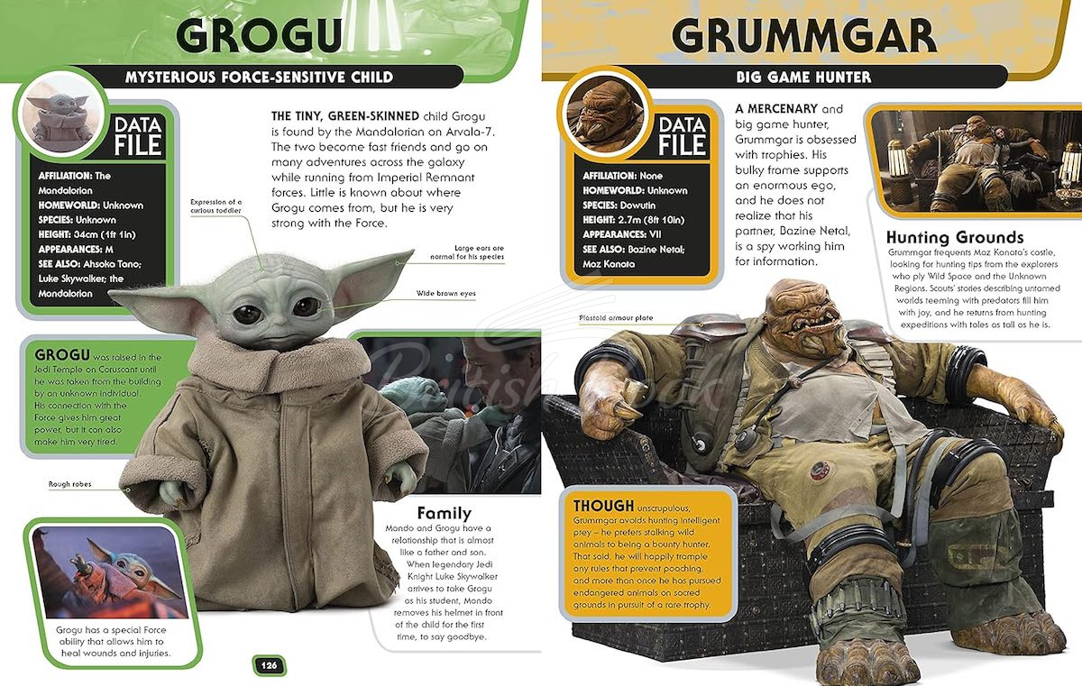 Книга Star Wars Character Encyclopedia (Updated and Expanded Edition) зображення 5