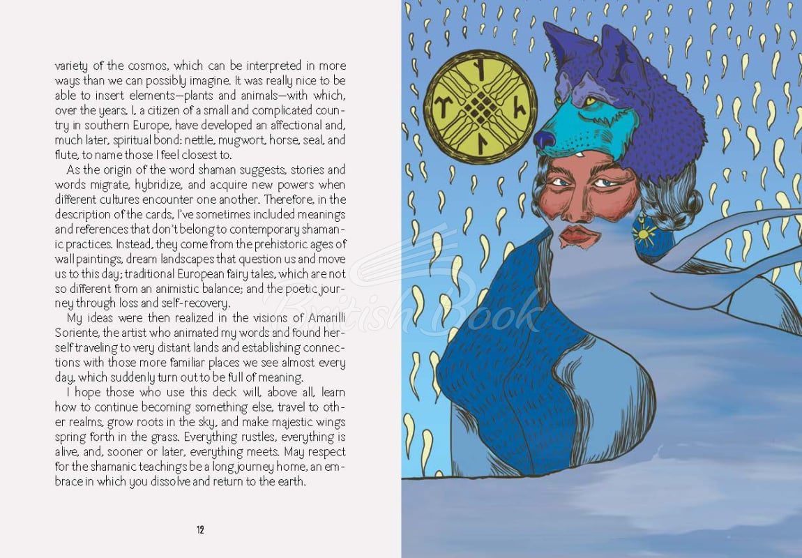 Карточки World Shamans Oracle: 50 Cards and Manual изображение 4